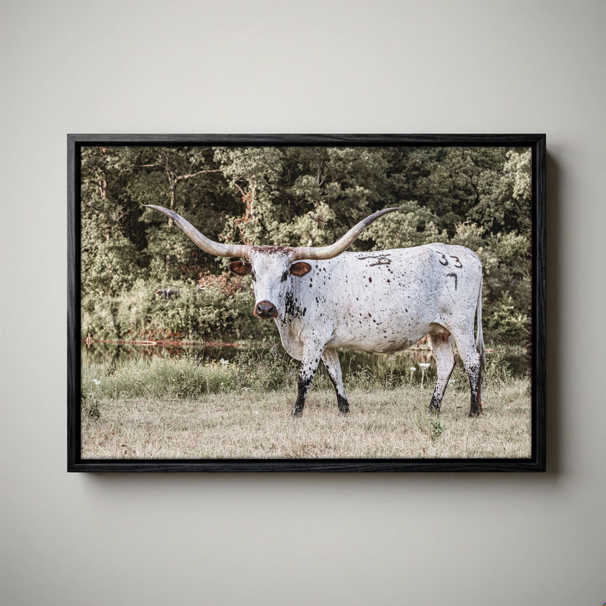 Longhorn Picture Canvas – Modern Western Decor