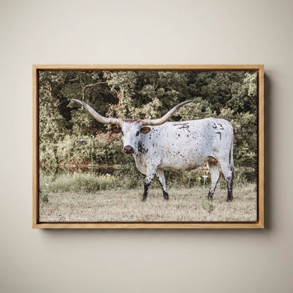 Longhorn Picture Canvas – Modern Western Decor Canvas-Natural Oak Float Frame / 12 x 18 Inches
