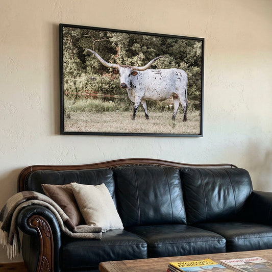 Longhorn Picture Canvas – Modern Western Decor With Rustic Cow Art Print Wall Art Teri James Photography