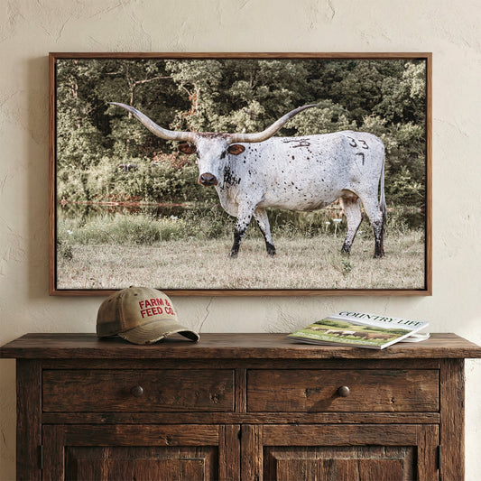 Longhorn Picture on Canvas Wall Art Teri James Photography