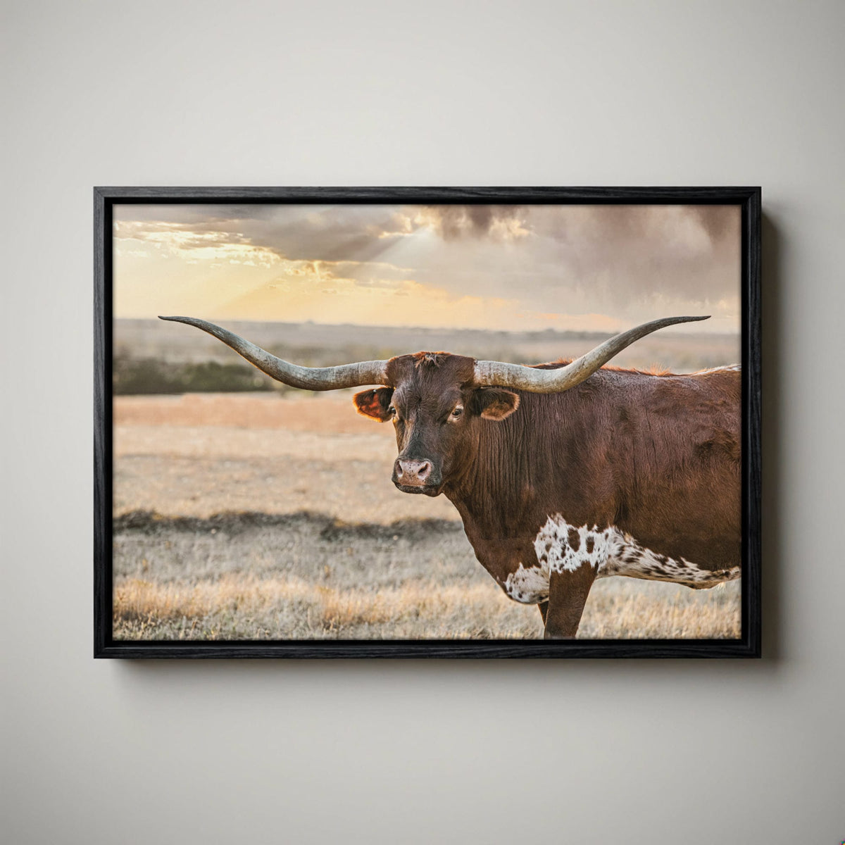 Longhorn Wall Art - Rustic Western Canvas Print