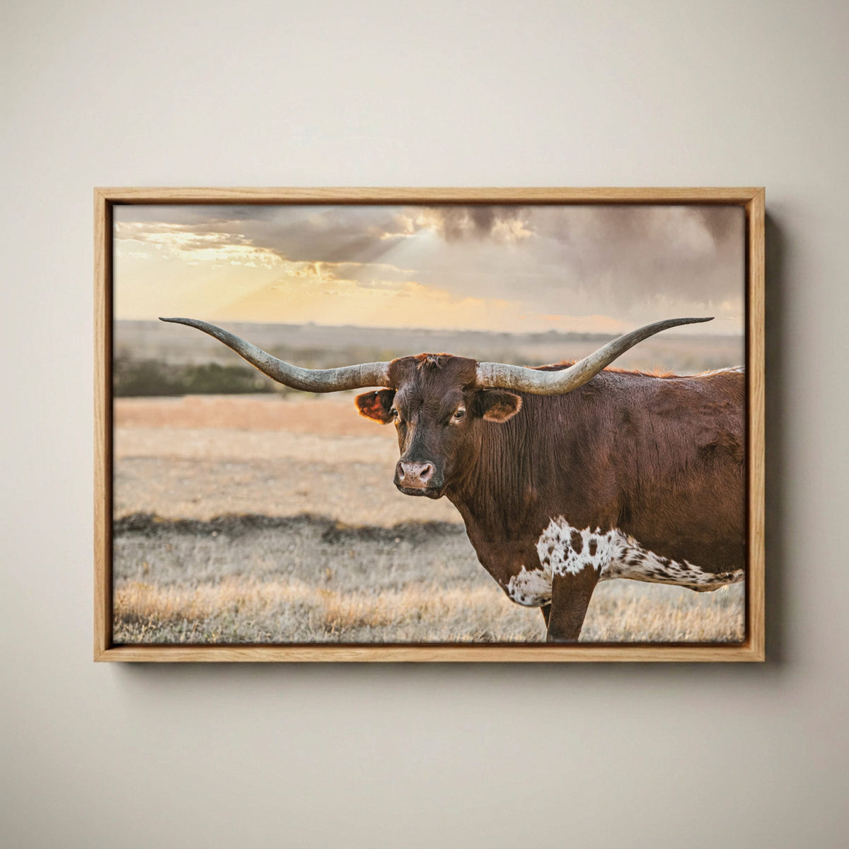 Longhorn Wall Art - Rustic Western Canvas Print Canvas-Natural Oak Float Frame / 12 x 18 Inches