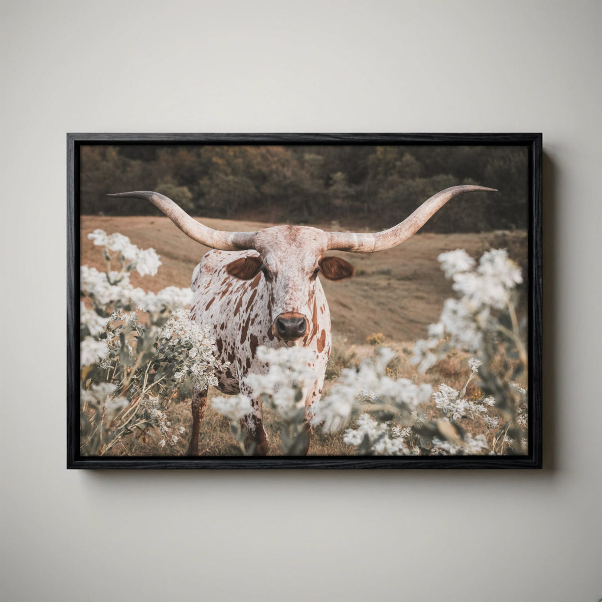 Longhorn Wall Art - Rustic Western Cow Canvas Print