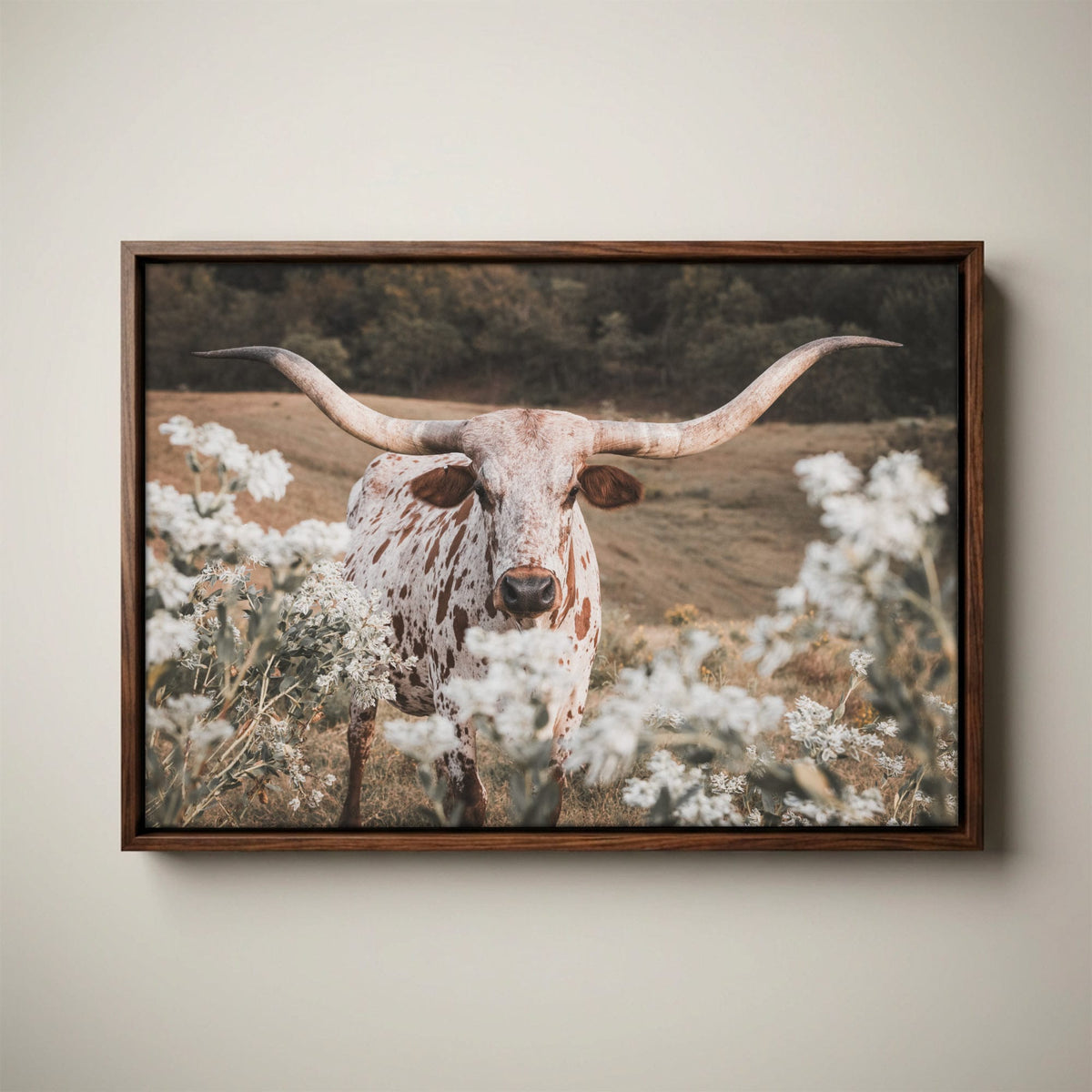 Longhorn Wall Art - Rustic Western Cow Canvas Print