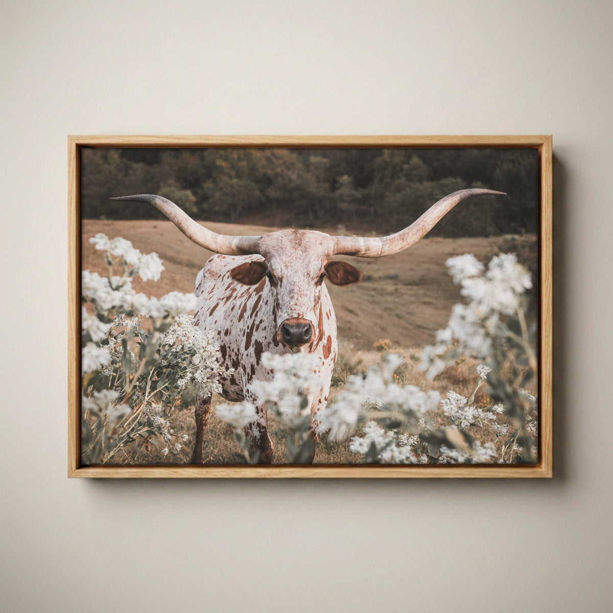 Longhorn Wall Art - Rustic Western Cow Canvas Print Canvas-Natural Oak Float Frame / 12 x 18 Inches