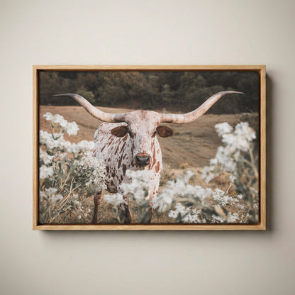 Longhorn Wall Art - Rustic Western Cow Canvas Print Canvas-Natural Oak Float Frame / 12 x 18 Inches