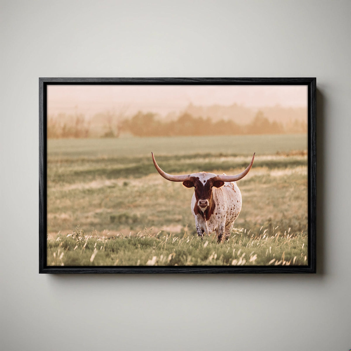 Longhorn Wall Art – Western Home Decor Rustic Sunset Canvas-Black Float Frame / 12 x 18 Inches