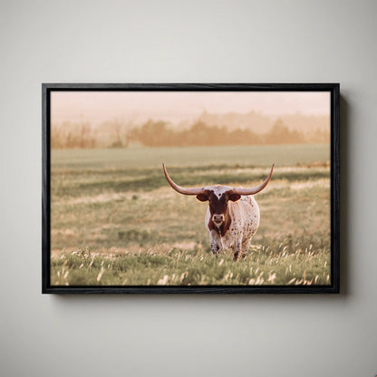 Longhorn Wall Art – Western Home Decor Rustic Sunset Canvas-Black Float Frame / 12 x 18 Inches