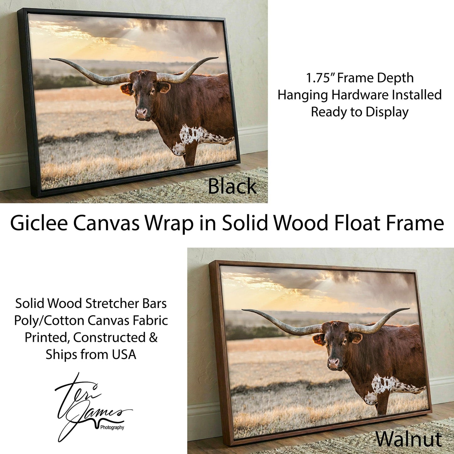 Longhorn Wall Art - Western Rustic Canvas Print with Texas Prairie Cow Canvas-Black Frame / 12 x 18 Inches Wall Art Teri James Photography