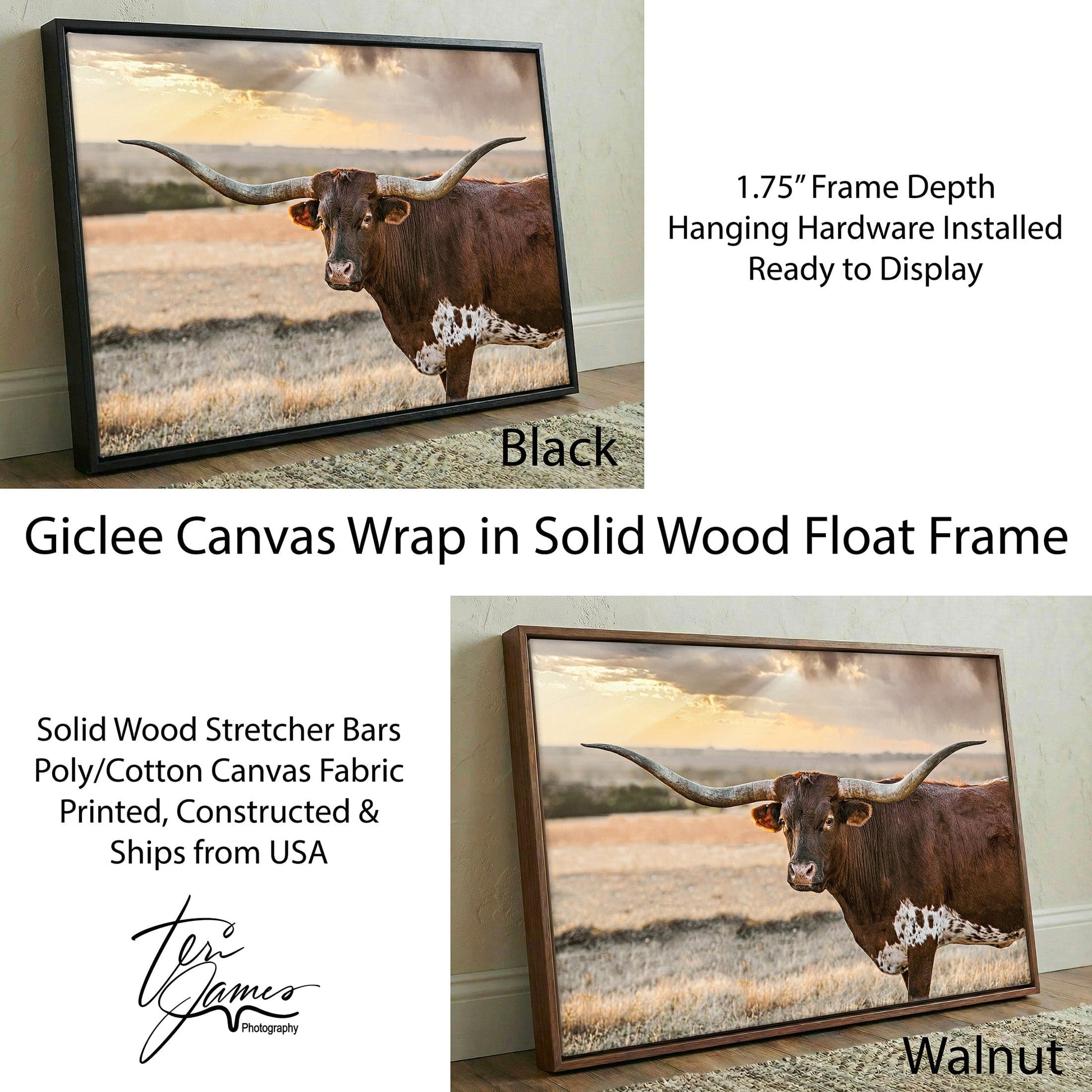 Longhorn Wall Art - Western Rustic Canvas Print with Texas Prairie Cow Canvas-Black Frame / 12 x 18 Inches Wall Art Teri James Photography