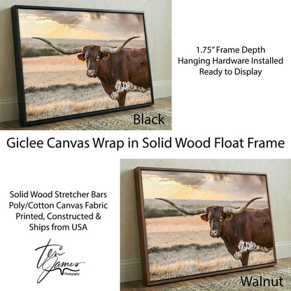 Longhorn Wall Art - Western Rustic Canvas Print with Texas Prairie Cow Canvas-Black Frame / 12 x 18 Inches Wall Art Teri James Photography