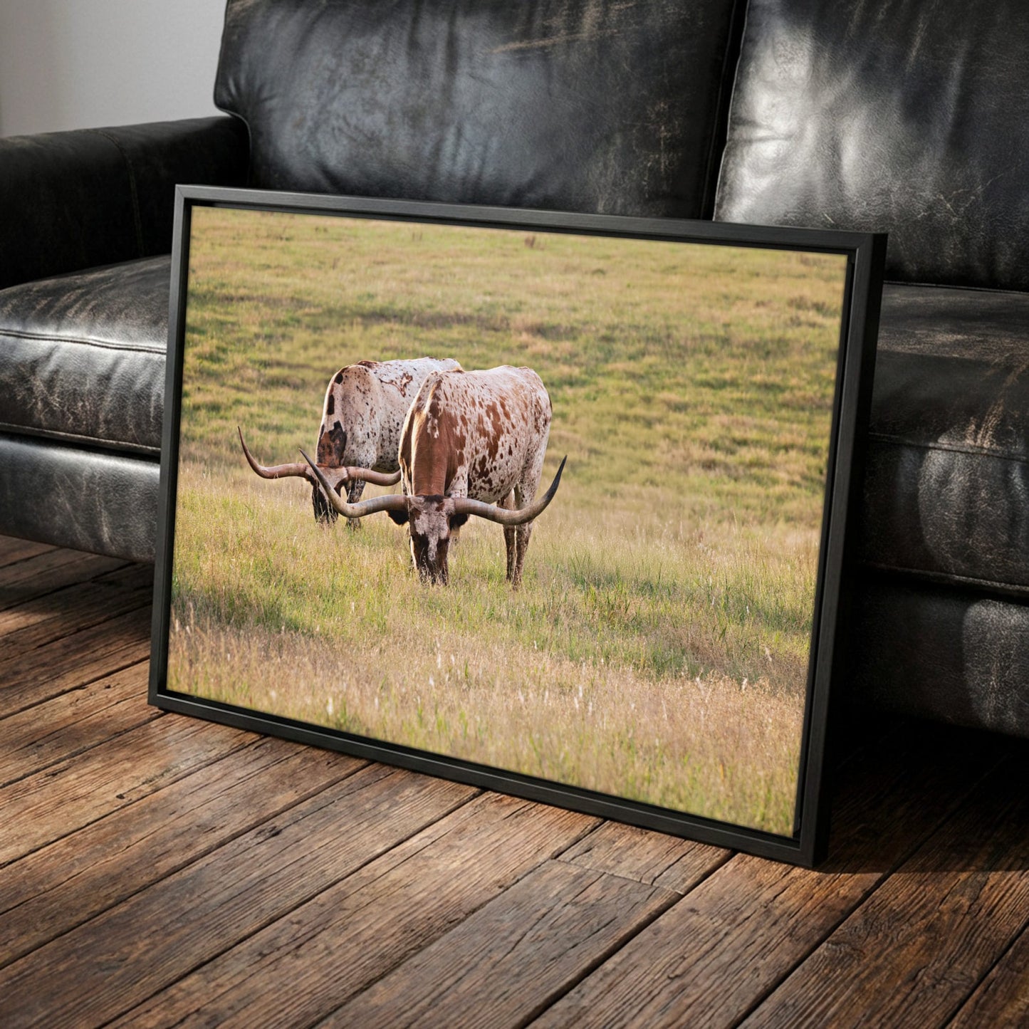 Longhorn Western Artwork - Texas Longhorn Cows Canvas-Black Frame / 12 x 18 Inches