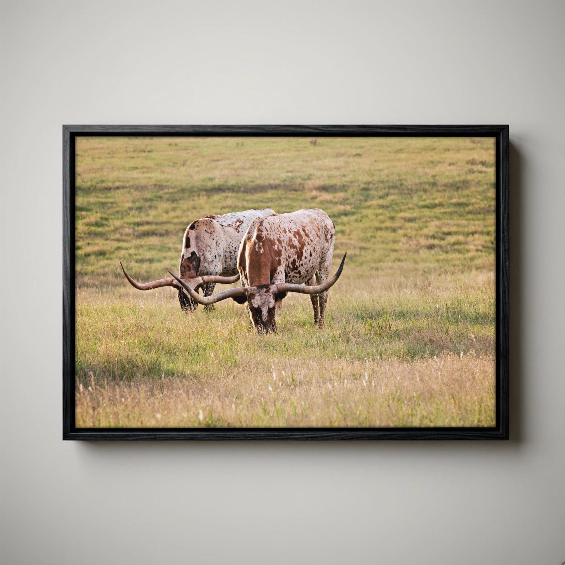 Longhorn Western Artwork - Texas Longhorn Cows