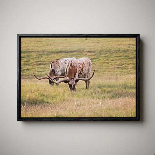 Longhorn Western Artwork - Texas Longhorn Cows