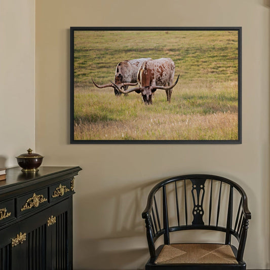 Longhorn Western Artwork - Texas Longhorn Cows Wall Art Teri James Photography