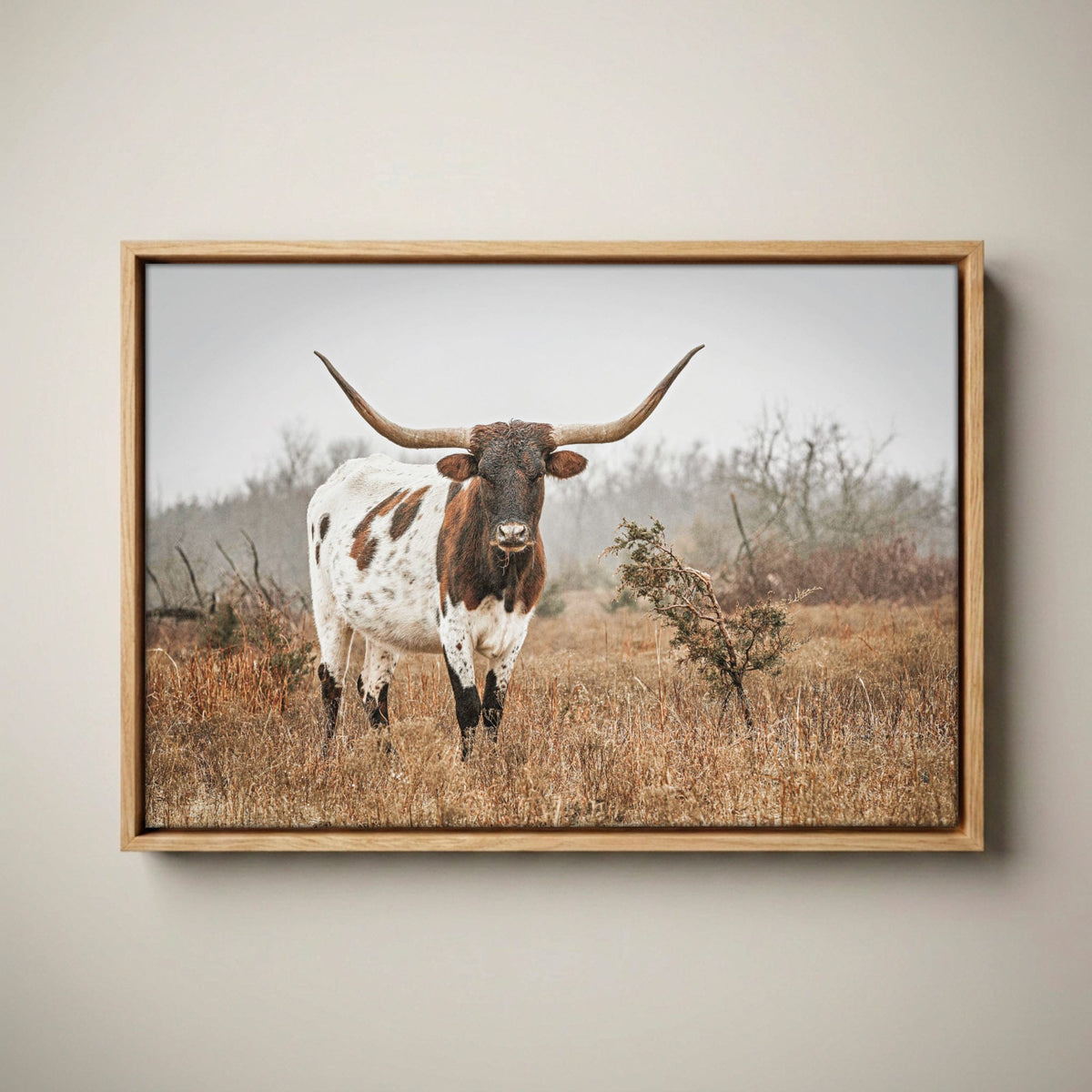 Longhorn Western Wall Art – Large Cow Canvas for Farmhouse Canvas-Natural Oak Float Frame / 12 x 18 Inches