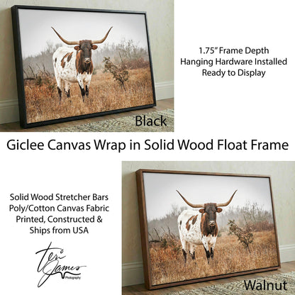 Longhorn Western Wall Art – Large Rustic Cow Canvas for Farmhouse Decor Canvas-Black Frame / 12 x 18 Inches Wall Art Teri James Photography