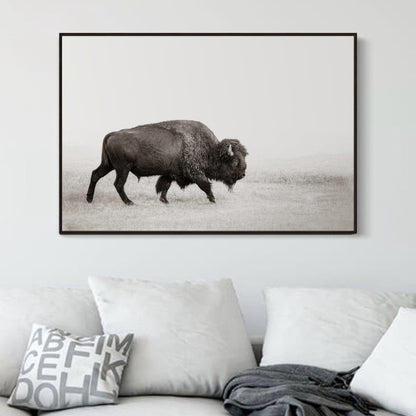 Minimalist Bison Art Canvas Wall Art Teri James Photography