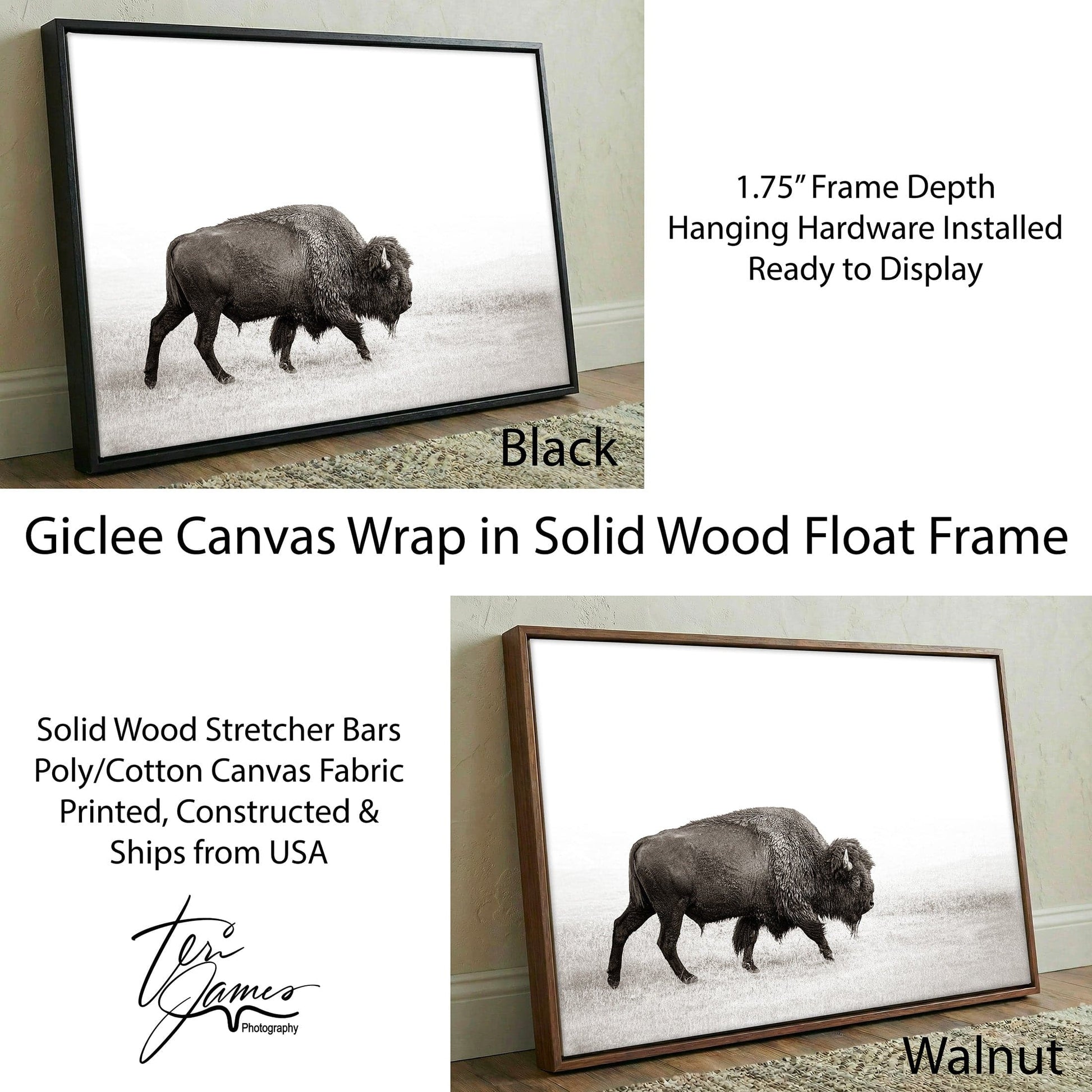 Minimalist Bison Art - Modern Animal Canvas - Rustic Cabin Wall Decor Canvas-Black Frame / 12 x 18 Inches Wall Art Teri James Photography