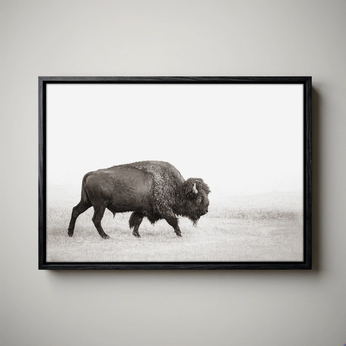 Minimalist Bison Art - Modern Animal Canvas