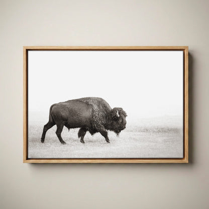 Minimalist Bison Art - Modern Animal Canvas Canvas-Natural Oak Float Frame / 12 x 18 Inches
