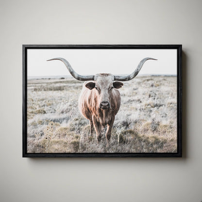 Modern Farmhouse Longhorn Art