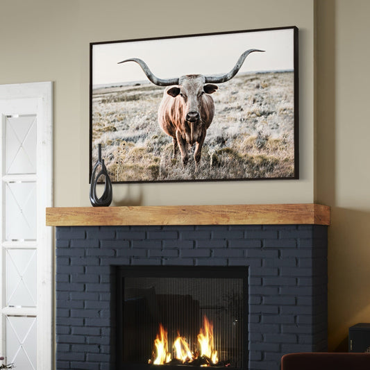 Modern Farmhouse Longhorn Art Wall Art Teri James Photography
