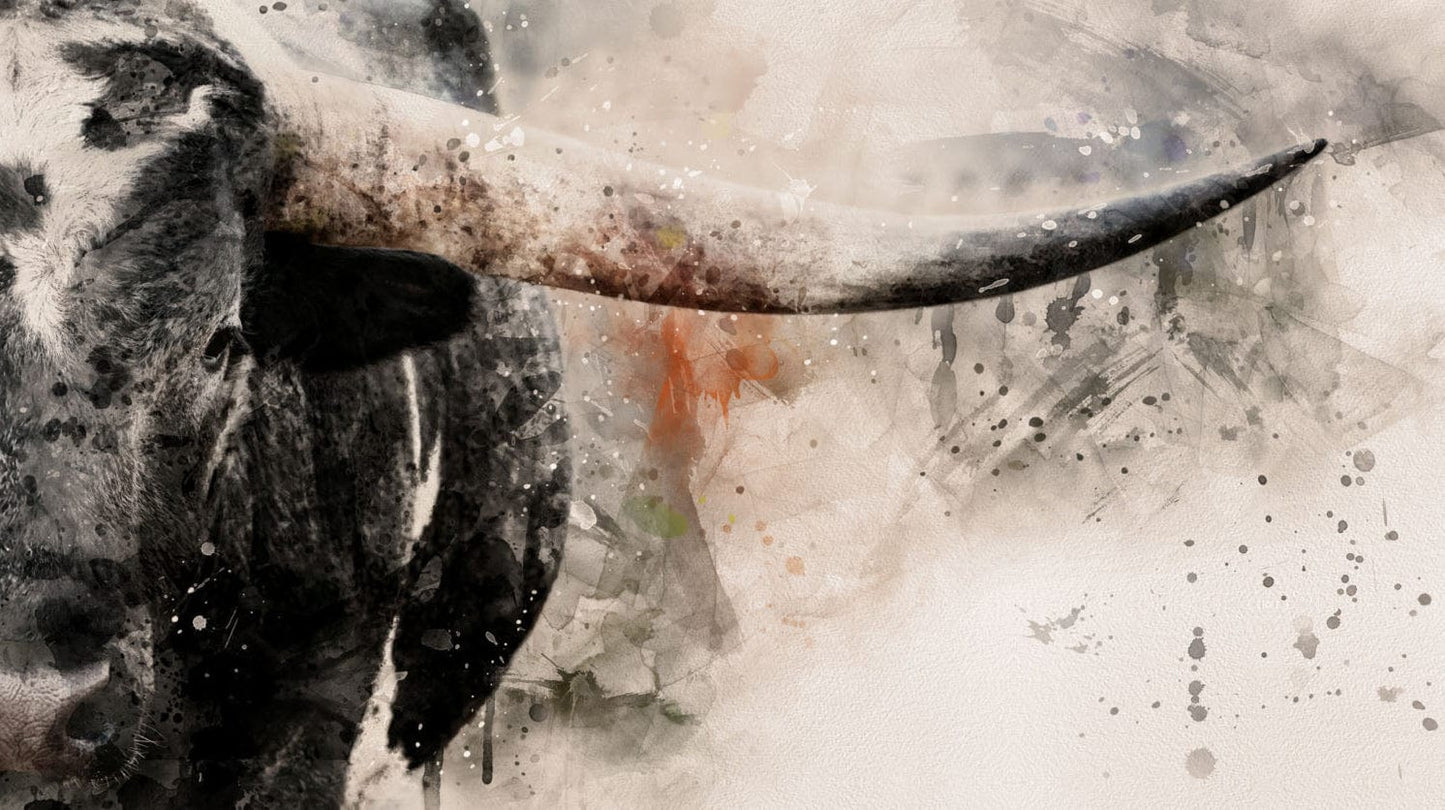 Modern Western Wall Decor - Texas Longhorn Panoramic Paper Photo Print / 10 x 20 Inches Wall Art Teri James Photography