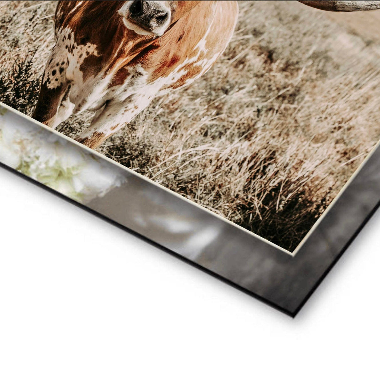 high quality photo print mounted on 2mm syrene