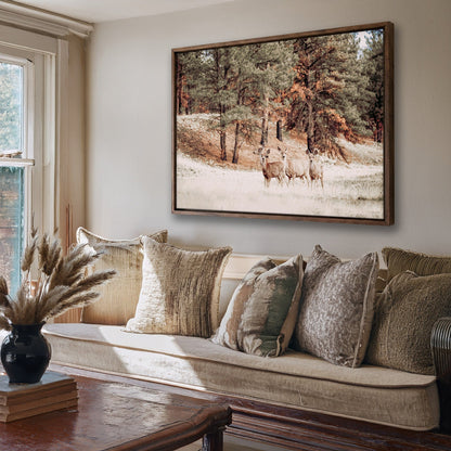 Mule Deer Wildlife Canvas Print Wall Art Teri James Photography