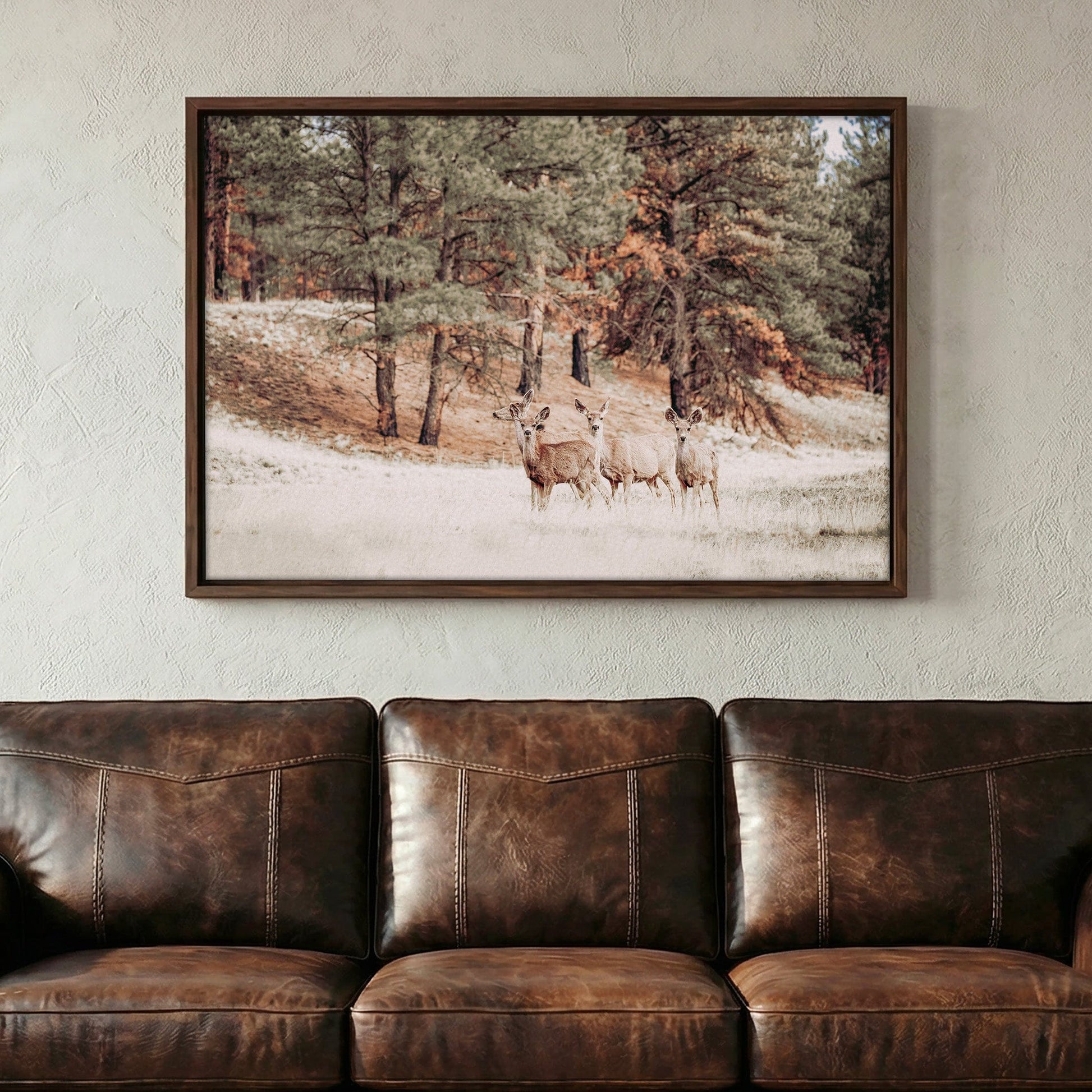 Mule Deer Wildlife Canvas Print Wall Art Teri James Photography