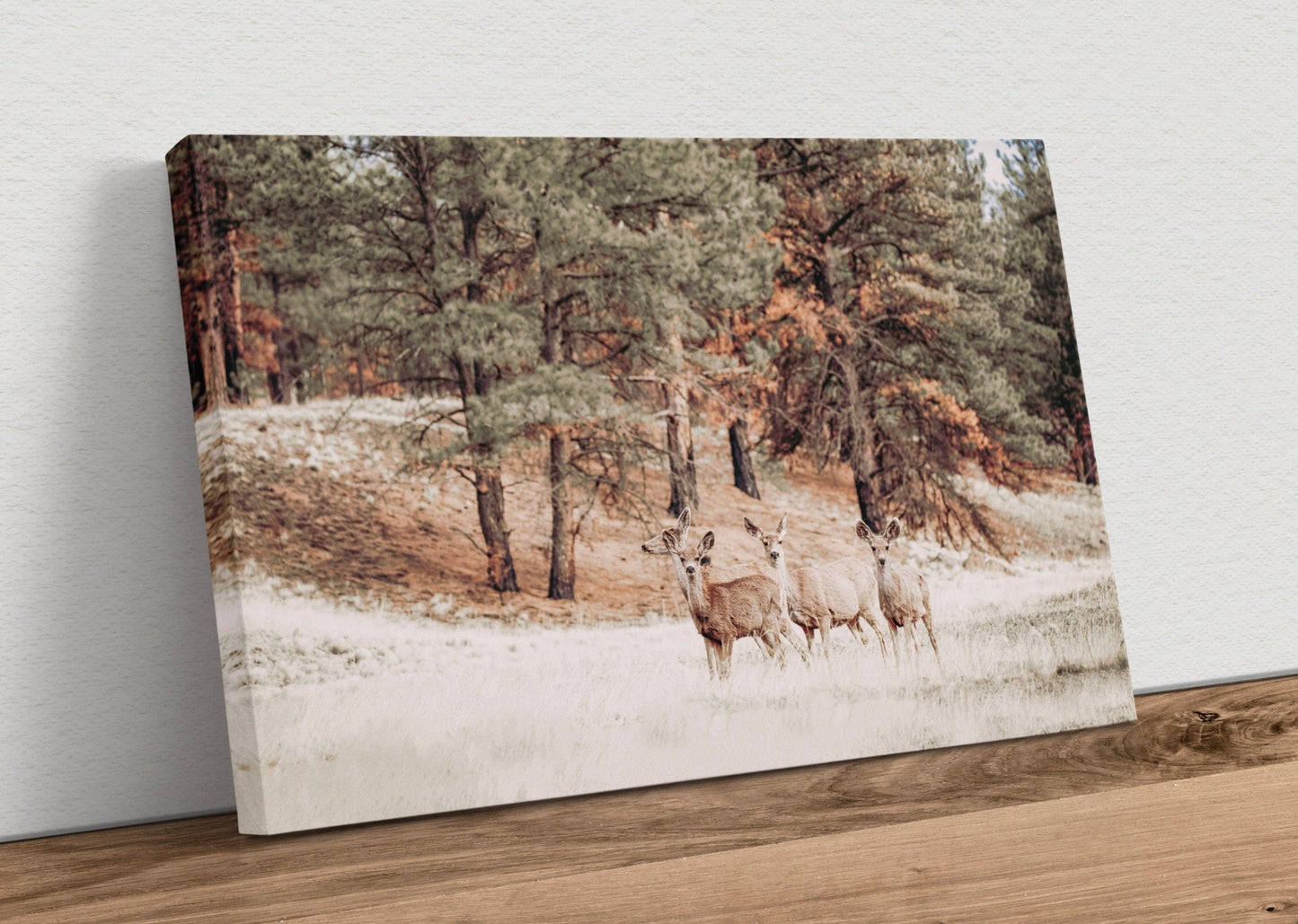Mule Deer Wildlife Canvas Print Canvas-Unframed / 12 x 18 Inches Wall Art Teri James Photography