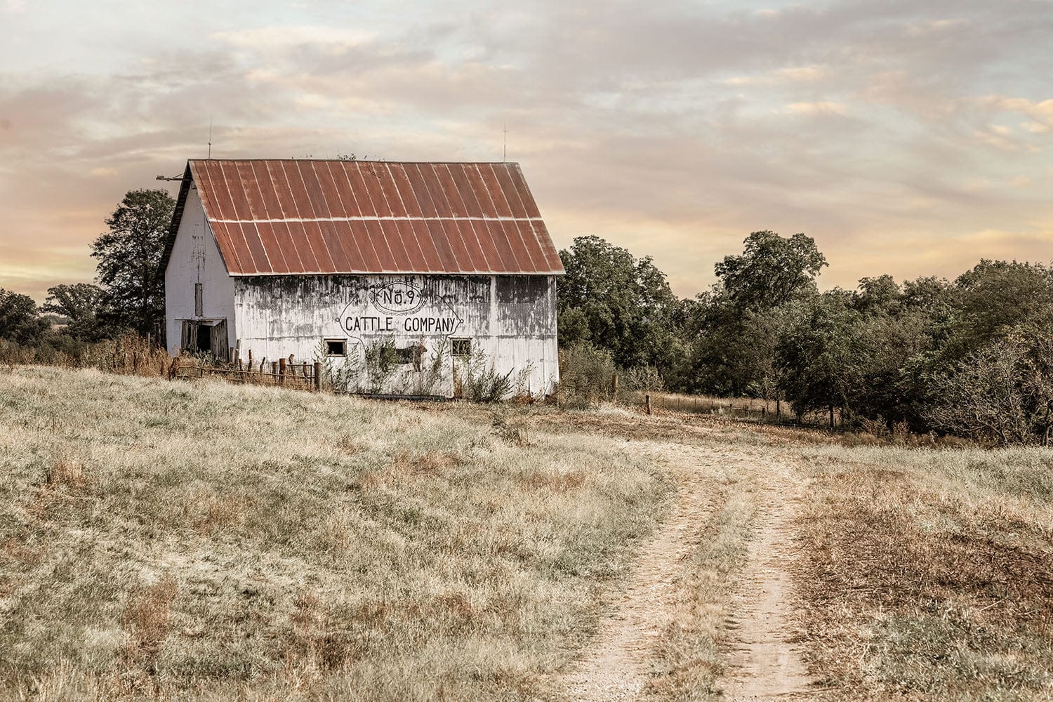 No 9 Cattle Company Barn - Rustic Farmhouse Decor Canvas Wall Art Print Paper Photo Print / 12 x 18 Inches Wall Art Teri James Photography