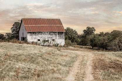 No 9 Cattle Company Barn - Rustic Farmhouse Decor Canvas Wall Art Print Paper Photo Print / 12 x 18 Inches Wall Art Teri James Photography