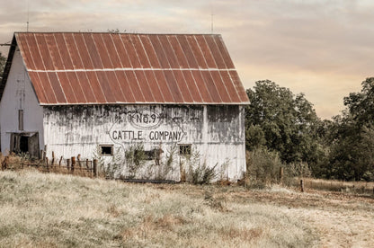 No 9 Cattle Company Barn Wall Art Teri James Photography