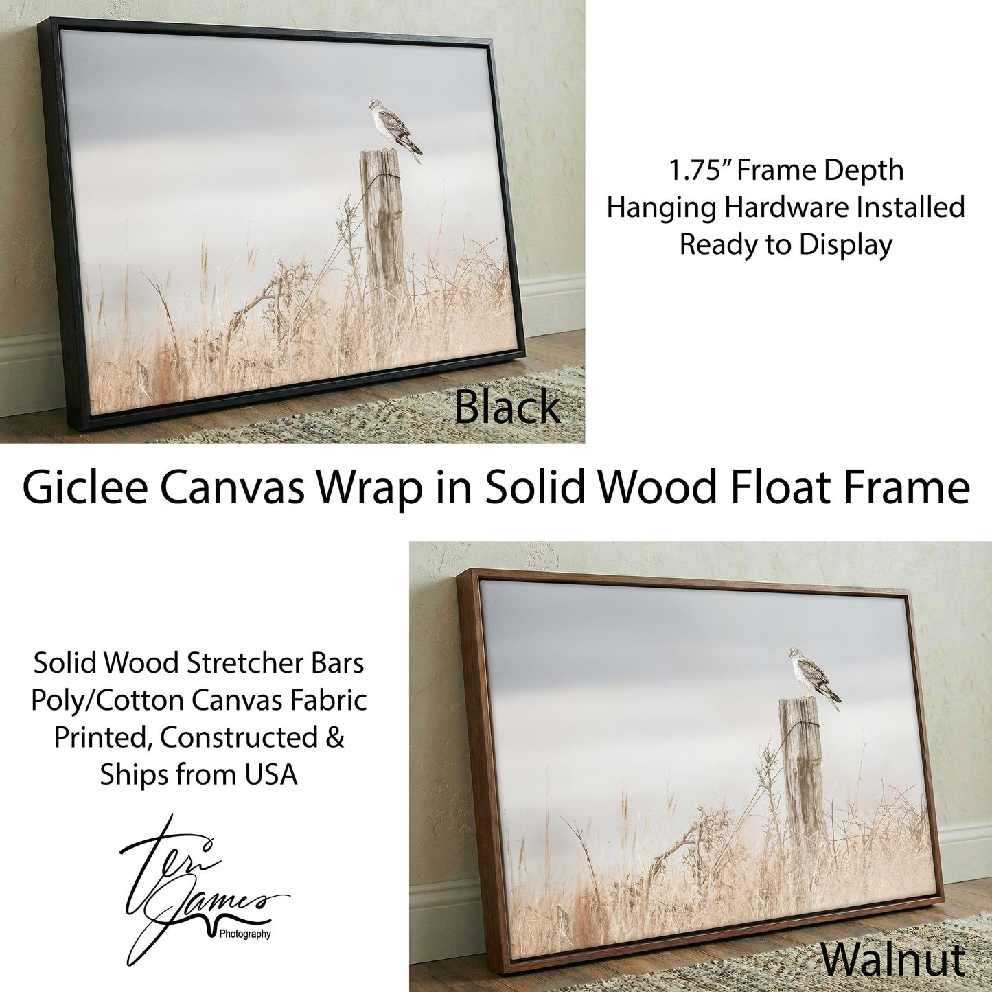 Northern Harrier Hawk Print – Rustic Wildlife Wall Art On Canvas Canvas-Black Frame / 12 x 18 Inches Wall Art Teri James Photography