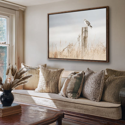 Northern Harrier Hawk Print – Rustic Wildlife Wall Art On Canvas Wall Art Teri James Photography