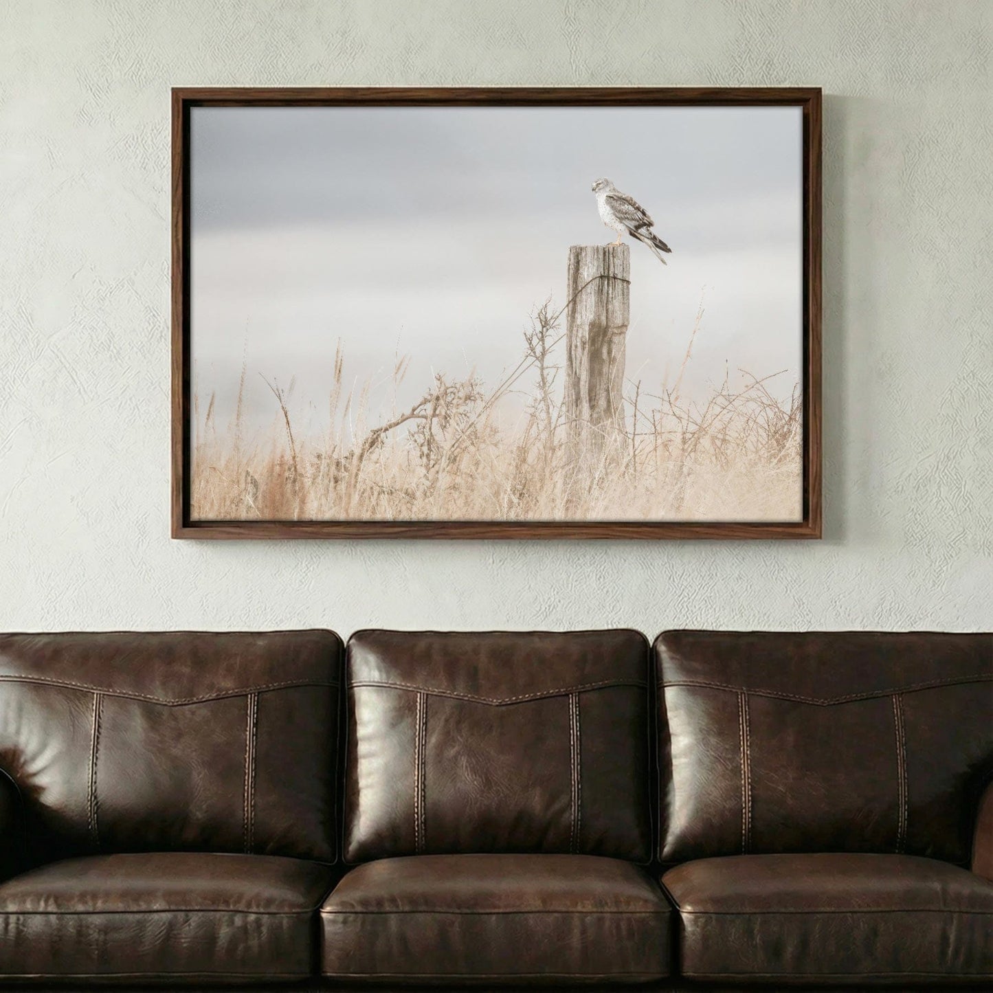 Northern Harrier Hawk Print – Rustic Wildlife Wall Art On Canvas Wall Art Teri James Photography