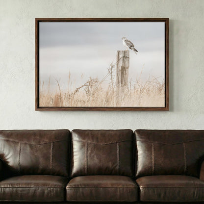 Northern Harrier Hawk Print – Rustic Wildlife Wall Art On Canvas Wall Art Teri James Photography