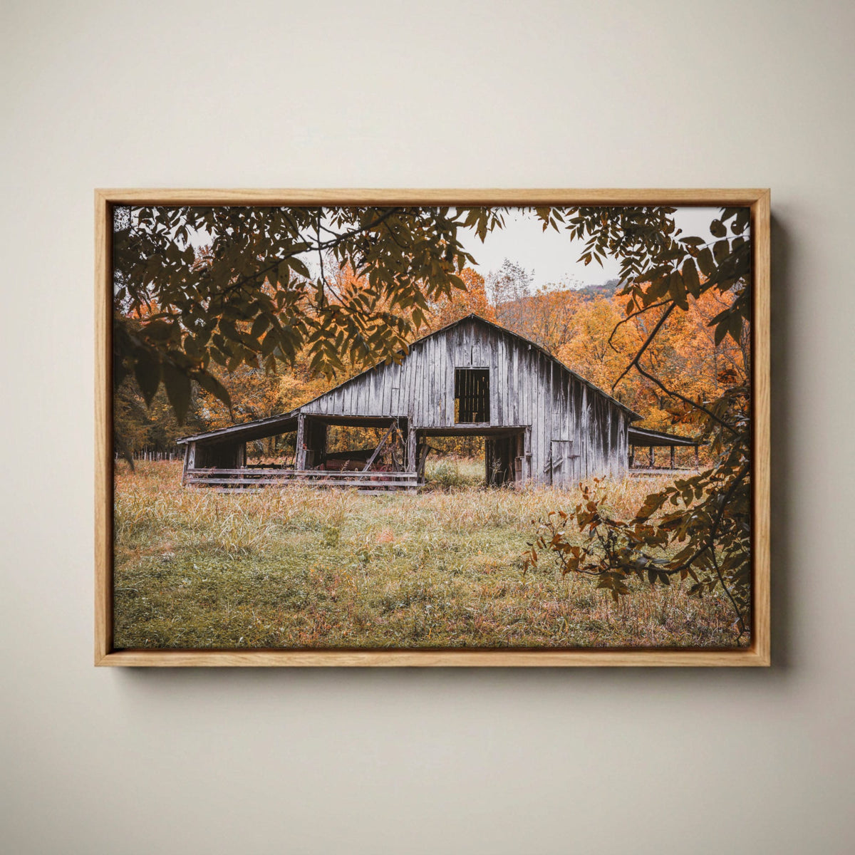 Old Arkansas Barn Wall Art - Rustic Farmhouse Canvas-Natural Oak Float Frame / 12 x 18 Inches