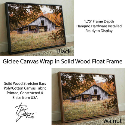 Old Arkansas Barn Wall Art - Rustic Farmhouse Wall Decor Canvas Print Canvas-Black Frame / 12 x 18 Inches Wall Art Teri James Photography