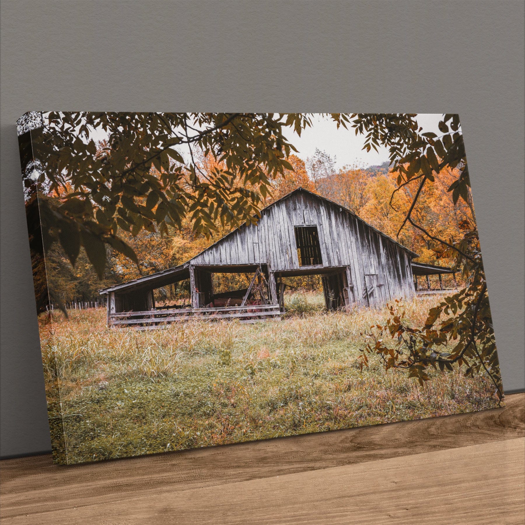 Old Arkansas Barn Wall Art - Rustic Farmhouse Wall Decor Canvas Print Canvas-Unframed / 12 x 18 Inches Wall Art Teri James Photography