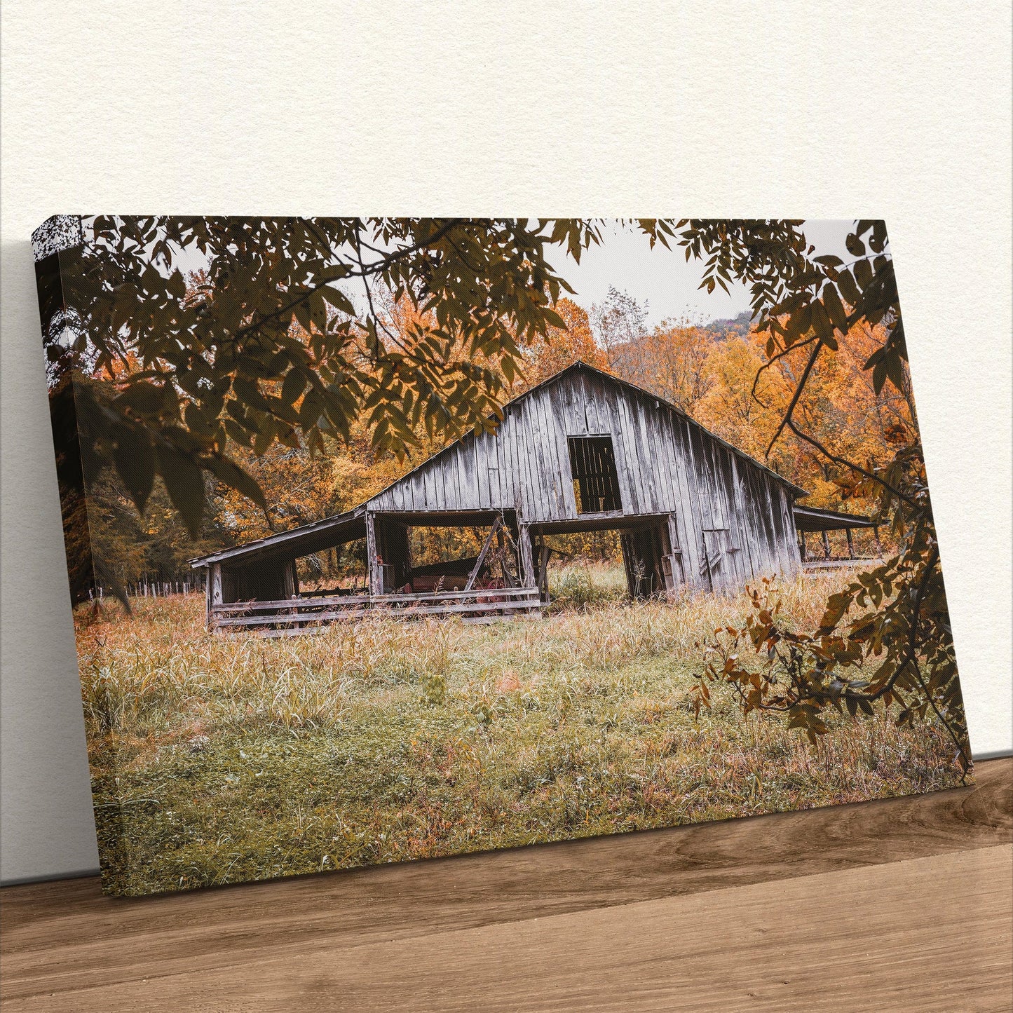 Old Arkansas Barn Wall Art Canvas-Unframed / 12 x 18 Inches Wall Art Teri James Photography