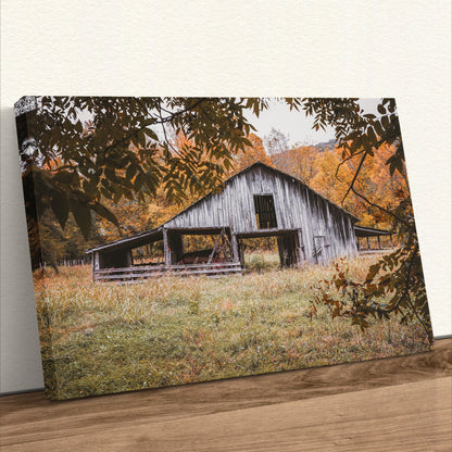 Old Arkansas Barn Wall Art Canvas-Unframed / 12 x 18 Inches Wall Art Teri James Photography