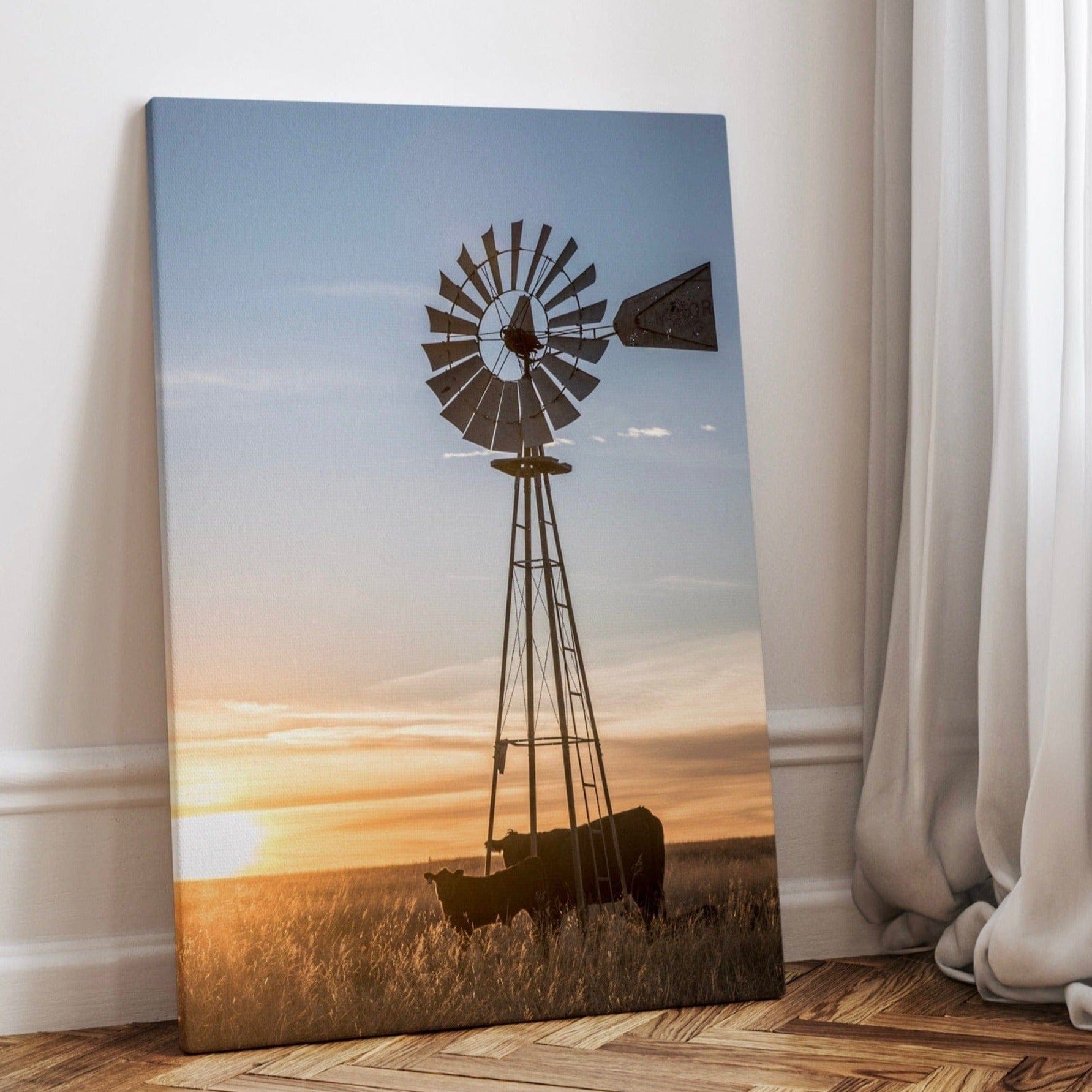 Old Windmill and Black Angus Cattle Canvas-Unframed / 12 x 18 Inches Wall Art Teri James Photography