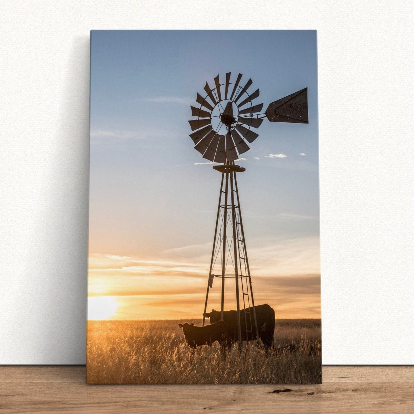 Old Windmill and Black Angus Cattle Wall Art Teri James Photography