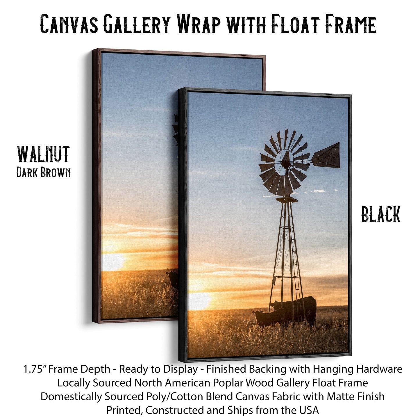 Old Windmill and Black Angus Cattle Canvas-Black Frame / 12 x 18 Inches Wall Art Teri James Photography