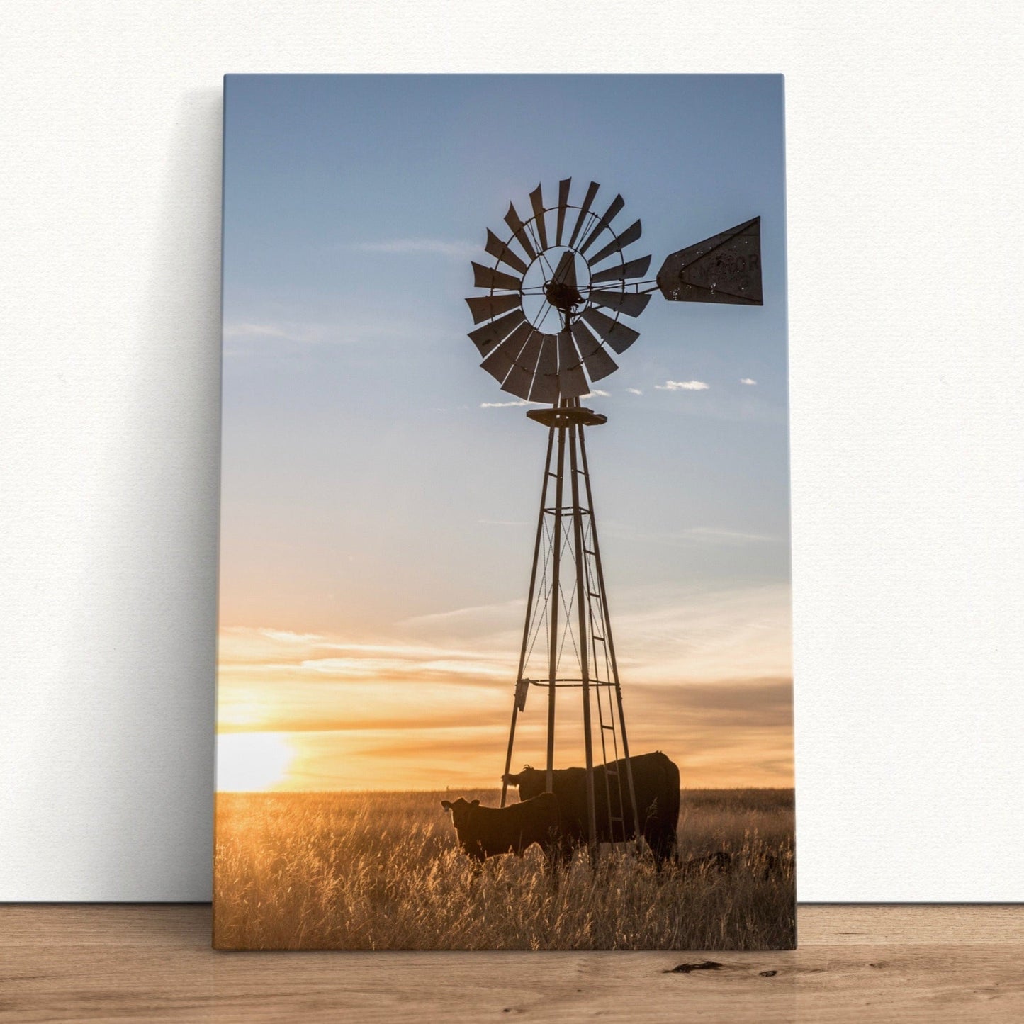 Old Windmill and Black Angus Cattle Canvas-Unframed / 12 x 18 Inches Wall Art Teri James Photography