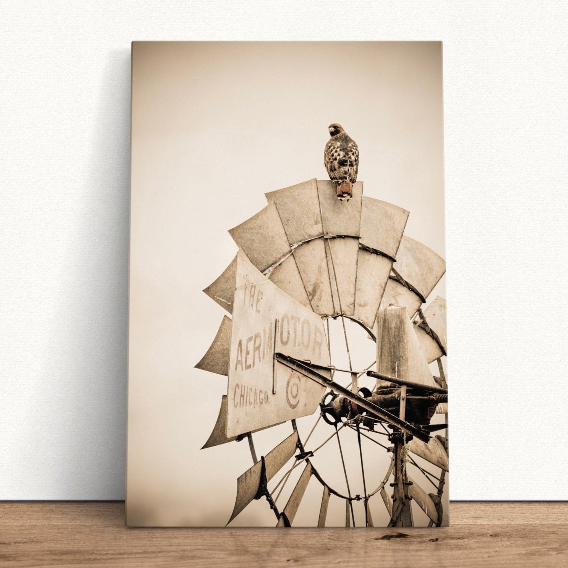 Old Windmill and Red Tailed Hawk Sepia Wall Art Canvas-Unframed / 12 x 18 Inches Wall Art Teri James Photography