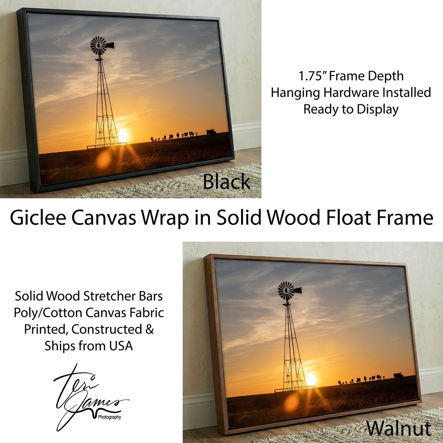 Old Windmill Canvas Print - Rustic Wall Art with Black Angus Cattle at Sunset Canvas-Black Frame / 12 x 18 Inches Wall Art Teri James Photography